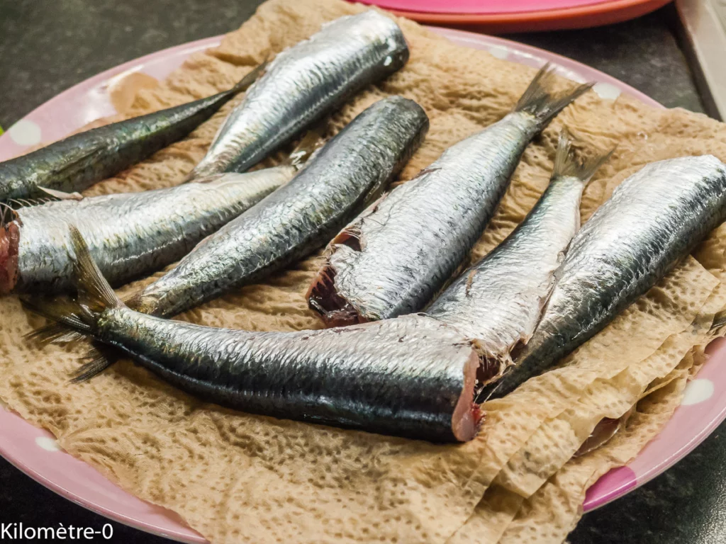 Sardines aux épinards, sauce béchamel - Étape 4