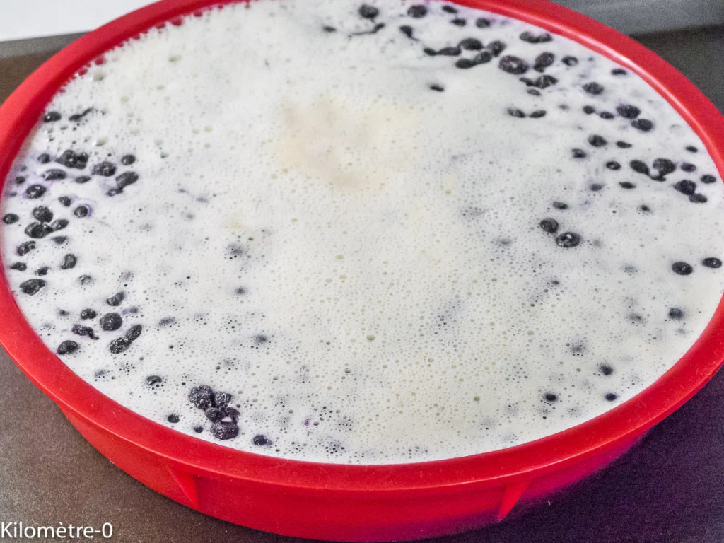 Flan pâtissier sans pâte aux myrtilles - Étape 7