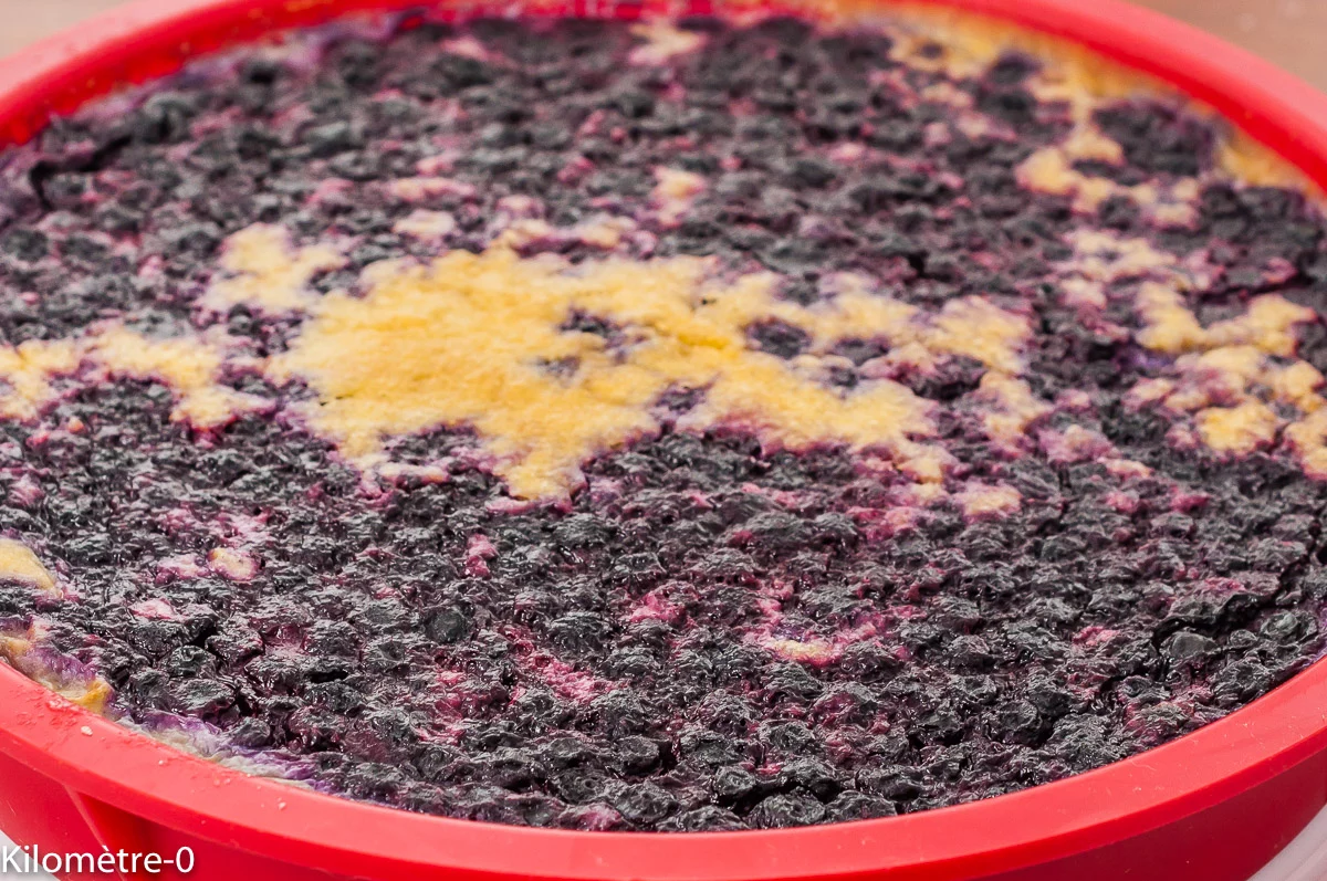 Photo de recette de flan pâtissier, sans pâte, facile, rapide, fruits rouges, myrtilles, framboises, lait, laitage, oeufs, bio, de Kilomètre-0, blog de cuisine réalisée à partir de produits de saison et issus de circuits courts