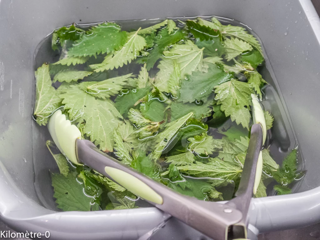 Hortopida, recette grecque - Étape 4