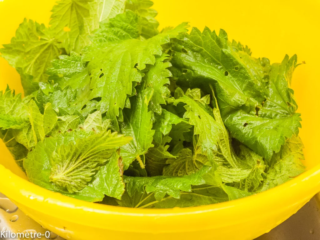 Galette de quinoa aux épinards et orties - Étape 7
