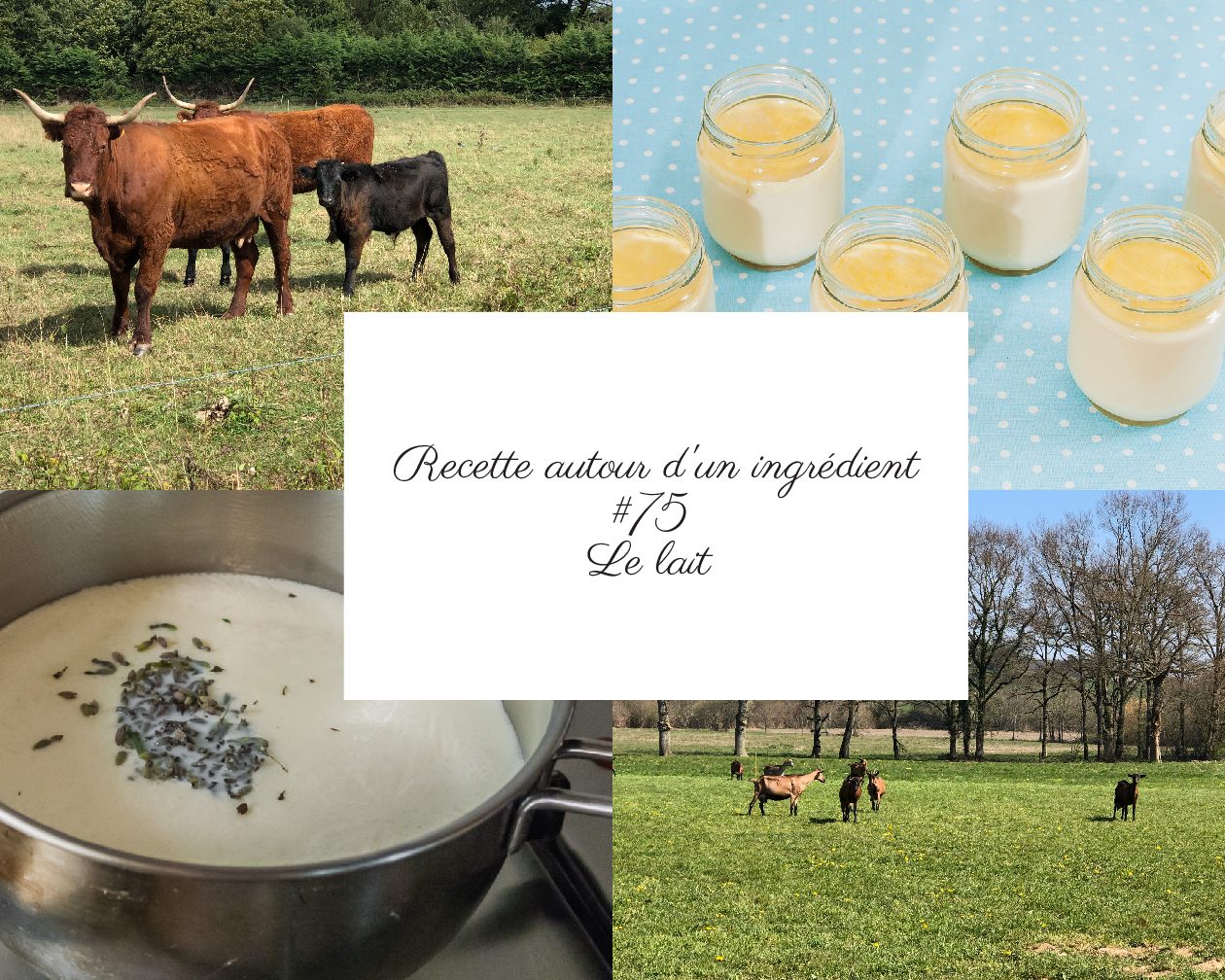 Recette autour d’un ingrédient #75