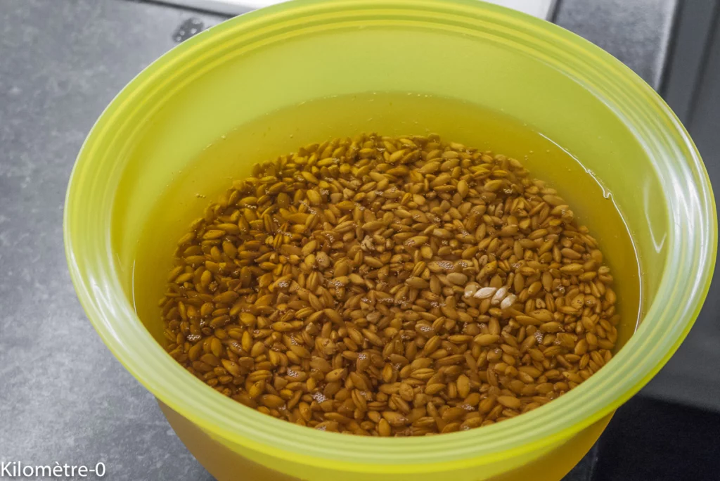 Petit épeautre aux radis glacés - Étape 1