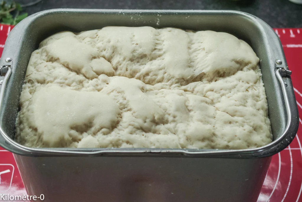 Pizza roulée végétarienne (tomates et emmental) - Étape 1