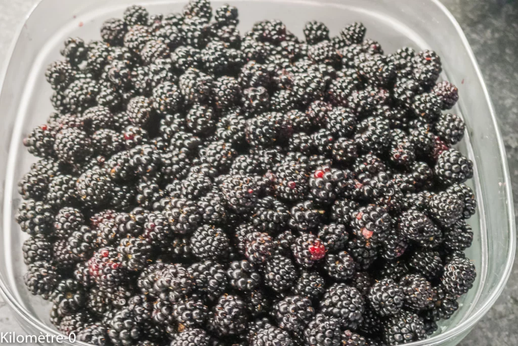 Scones aux mûres - Étape 1