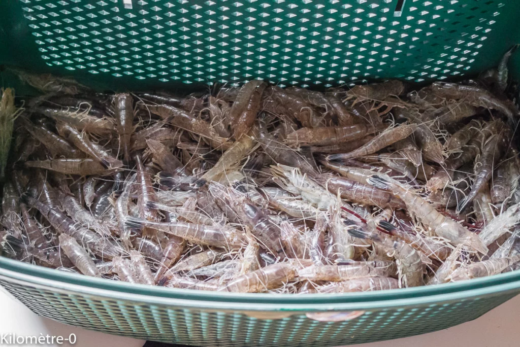 Taboulé aux agrumes et aux crevettes grises - Étape 1