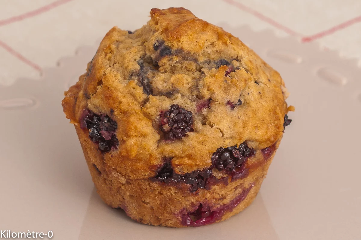 Photo de recette de scones, biscuits, gâteau, gâteau du matin, cake, petits gâteaux, gâteau anglais, biscuits anglais, mûres, fruits rouges, été, facile, rapide, bio, économique, mûresKilomètre-0, blog de cuisine réalisée à partir de produits de saison et issus de circuits courts