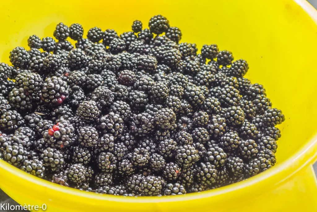 Gâteau aux mûres façon Paul Bocuse - Étape 8