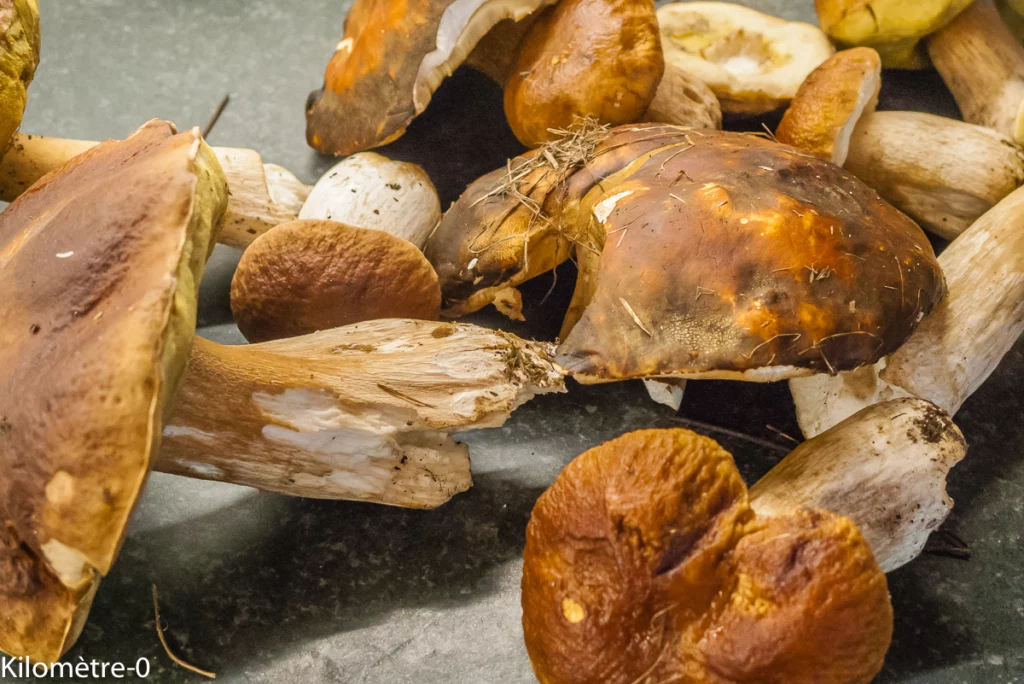 Pizza de chou fleur aux cèpes - Étape 1