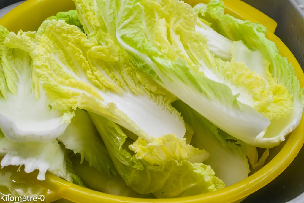 Soupe de canard au chou chinois, champignons et nouilles - Étape 2