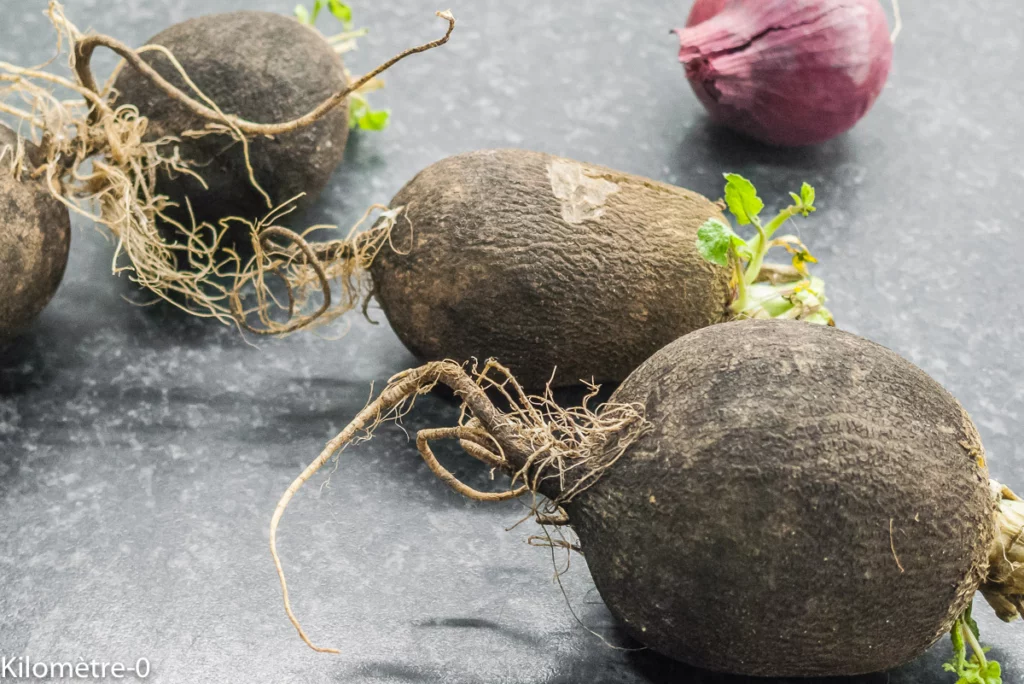 Crème de radis noirs aux oranges - Étape 1