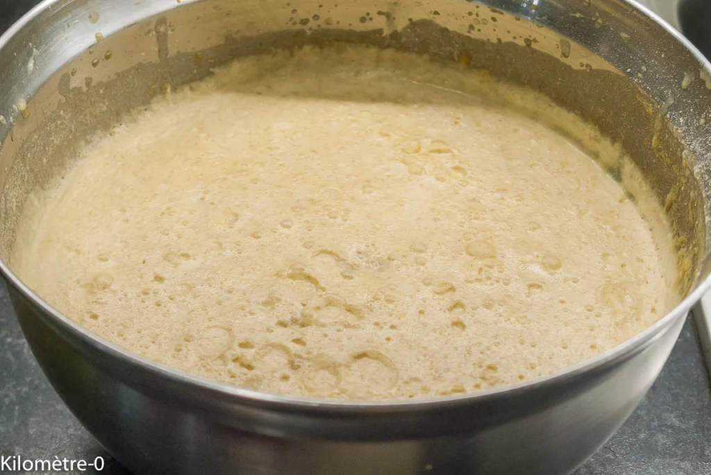 Gratin de crêpes aux noix serbe - Étape 5