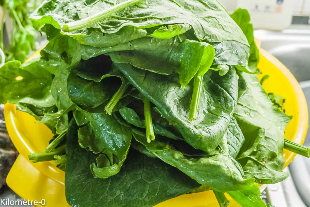 Naan aux haricots blancs et aux épinards - Étape 5