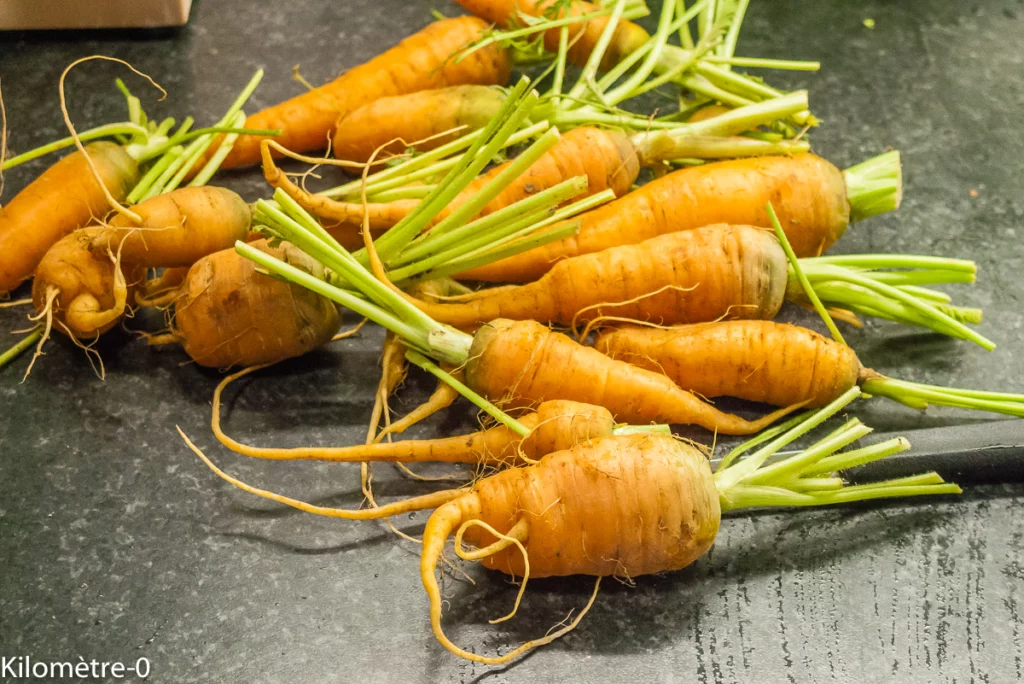 Salade de chou rouge aux carottes, asperges et noix de pétoncles - Étape 4