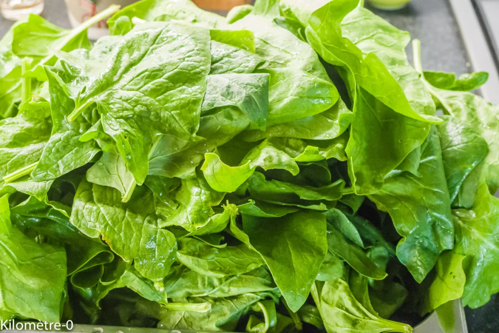 Blettes et épinards à la béchamel - Étape 2