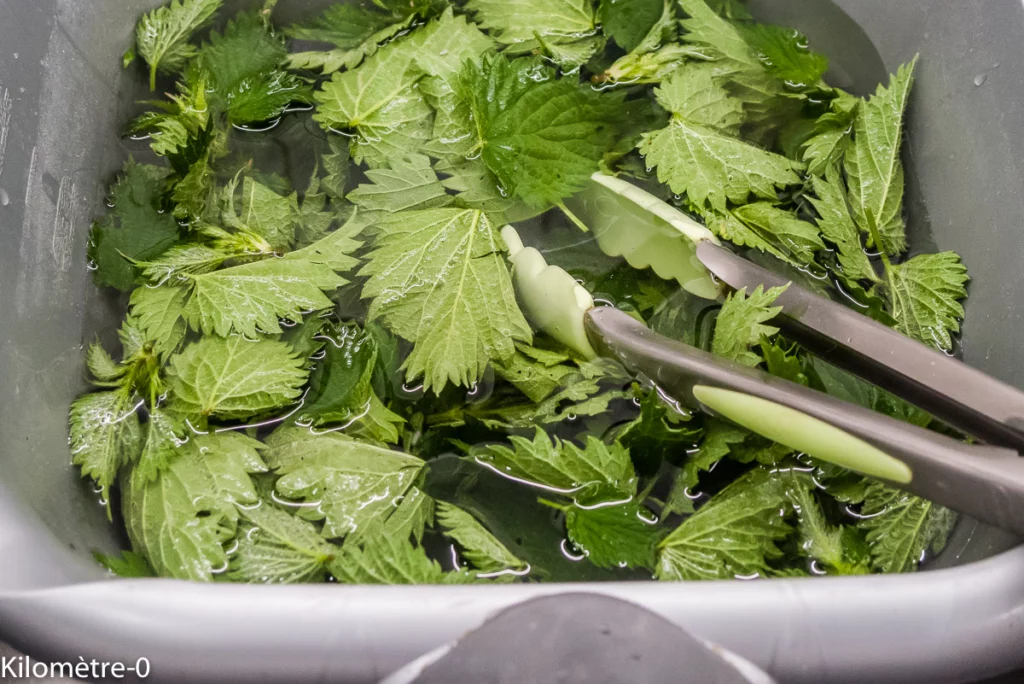 Cake orties emmental - Étape 1