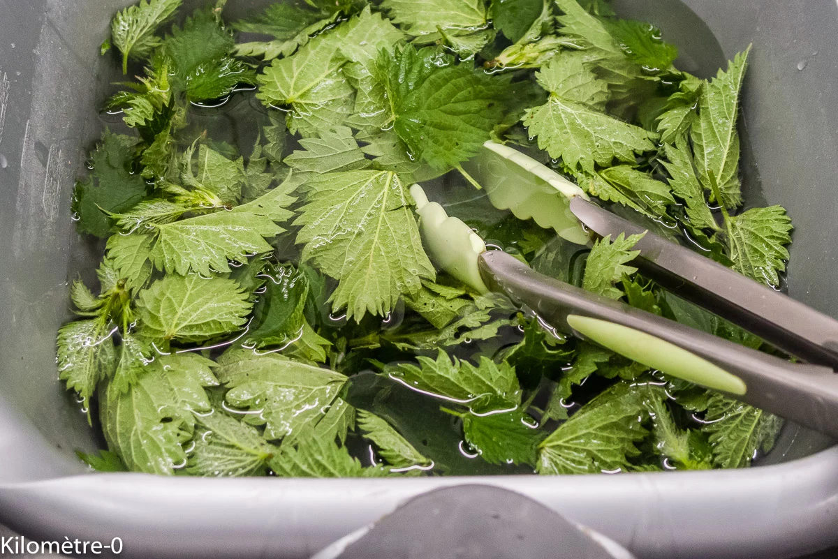 Photo de recette de Kilomètre-0, blog de cuisine réalisée à partir de produits de saison et issus de circuits courts