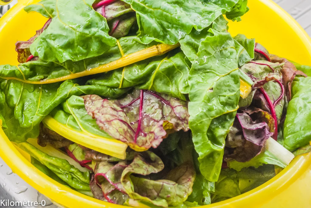 Gratin de blettes aux lardons - Étape 1