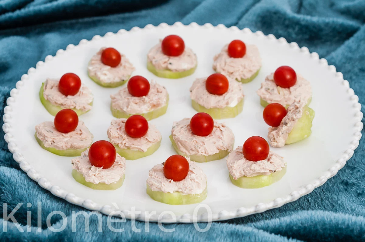 Photo de recette de concombre, mousse de thon, poisson, poisson gras, facile rapide,apéro, été, tomates cerises, Kilomètre-0, blog de cuisine réalisée à partir de produits de saison et issus de circuits courts