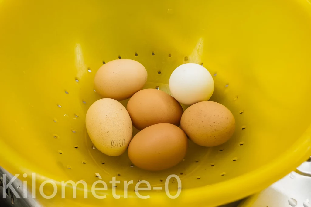 Terrine aux haricots verts, poivrons et oeufs - Étape 5