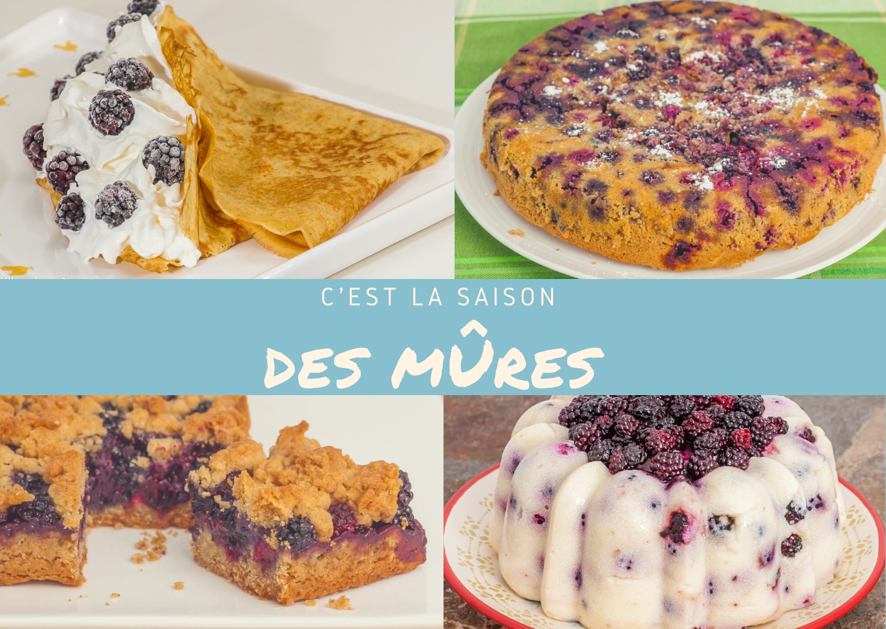 C’est la saison des mûres, parfait pour en faire une cure – recettes à petits prix !