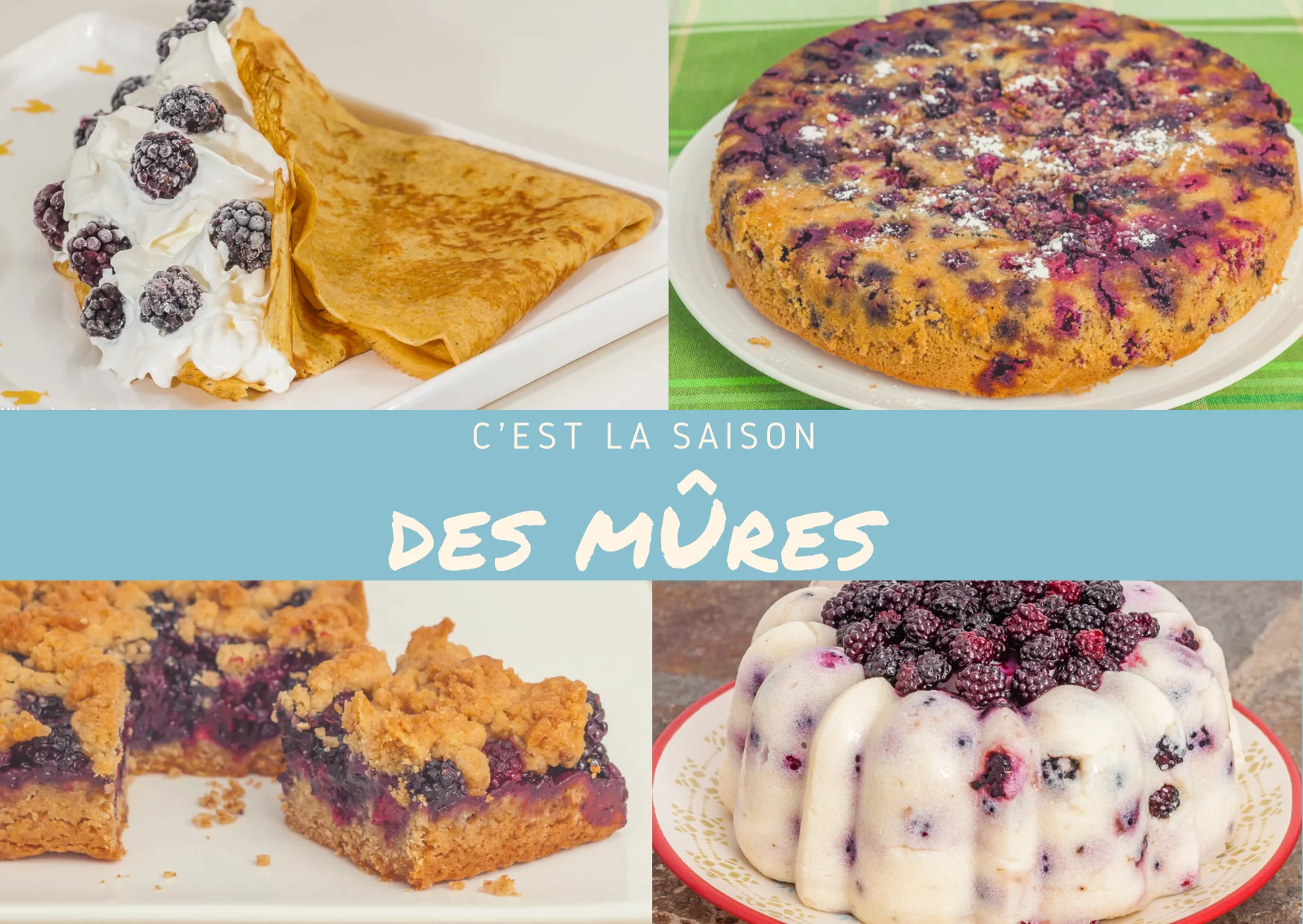 C&rsquo;est la saison des mûres, parfait pour en faire une cure – recettes à petits prix !