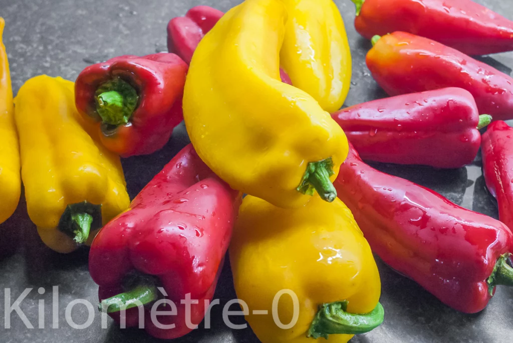 Terrine de raie au poivron - Étape 1