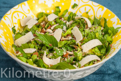 Photo de recette de salade, céleri,  céleri branche, facile, rapide, cru,  amandes, parmesan, végétarien, léger, healthy, automne, hiver,  Kilomètre-0, blog de cuisine réalisée à partir de produits de saison et issus de circuits courts