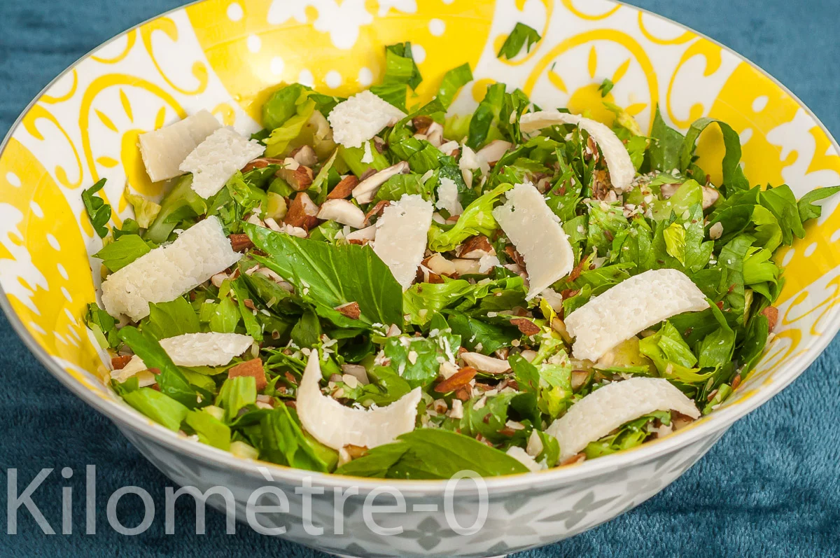Photo de recette de salade, céleri, céleri branche, facile, rapide, cru, amandes, parmesan, végétarien, léger, healthy, automne, hiver, Kilomètre-0, blog de cuisine réalisée à partir de produits de saison et issus de circuits courts