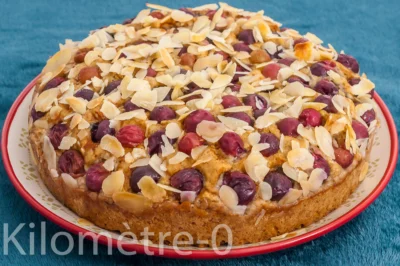 Photo de recette de gâteau, facile, raisins, noirs, frais, automne, amandes, bio, rapide, dessert,  Kilomètre-0, blog de cuisine réalisée à partir de produits de saison et issus de circuits courts