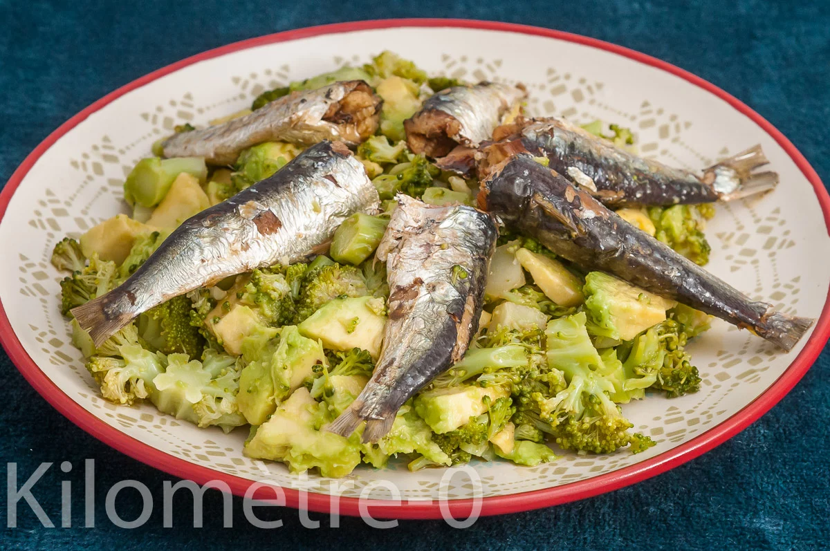 Photo de recette de salade, brocolis, avocat, sardines, omega 3, bon gras, facile, rapide, Kilomètre-0, blog de cuisine réalisée à partir de produits de saison et issus de circuits courts