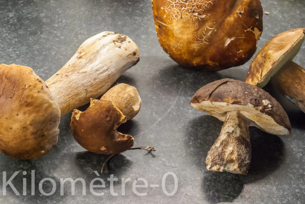 Soupe de potimarron aux cèpes et au bouillon de volaille maison - Étape 2