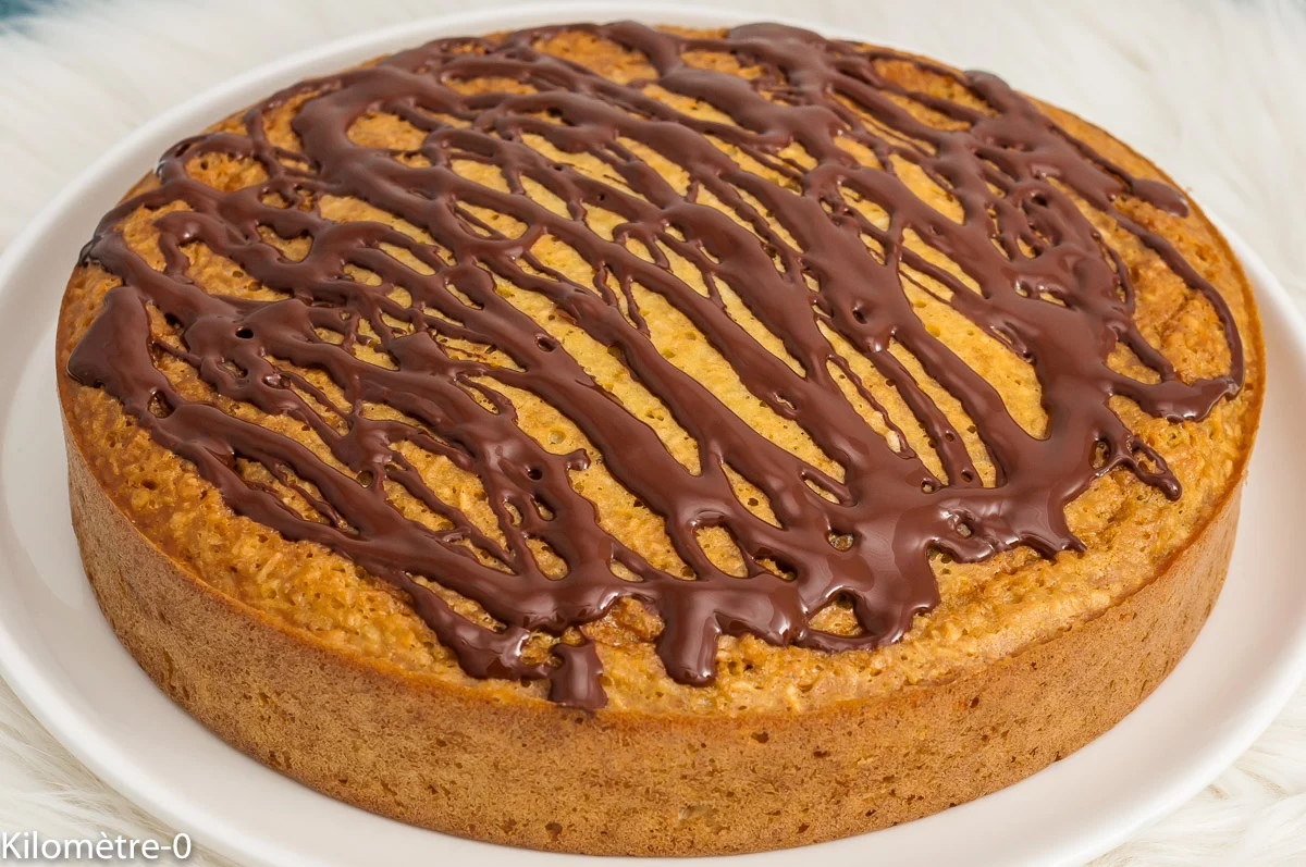 Photo de recette de gâteau, dessert, noix de coco, zeste de citron, citron, agrume, coco, lait de coco, facile, chocolat, bio, Kilomètre-0, blog de cuisine réalisée à partir de produits de saison et issus de circuits courts