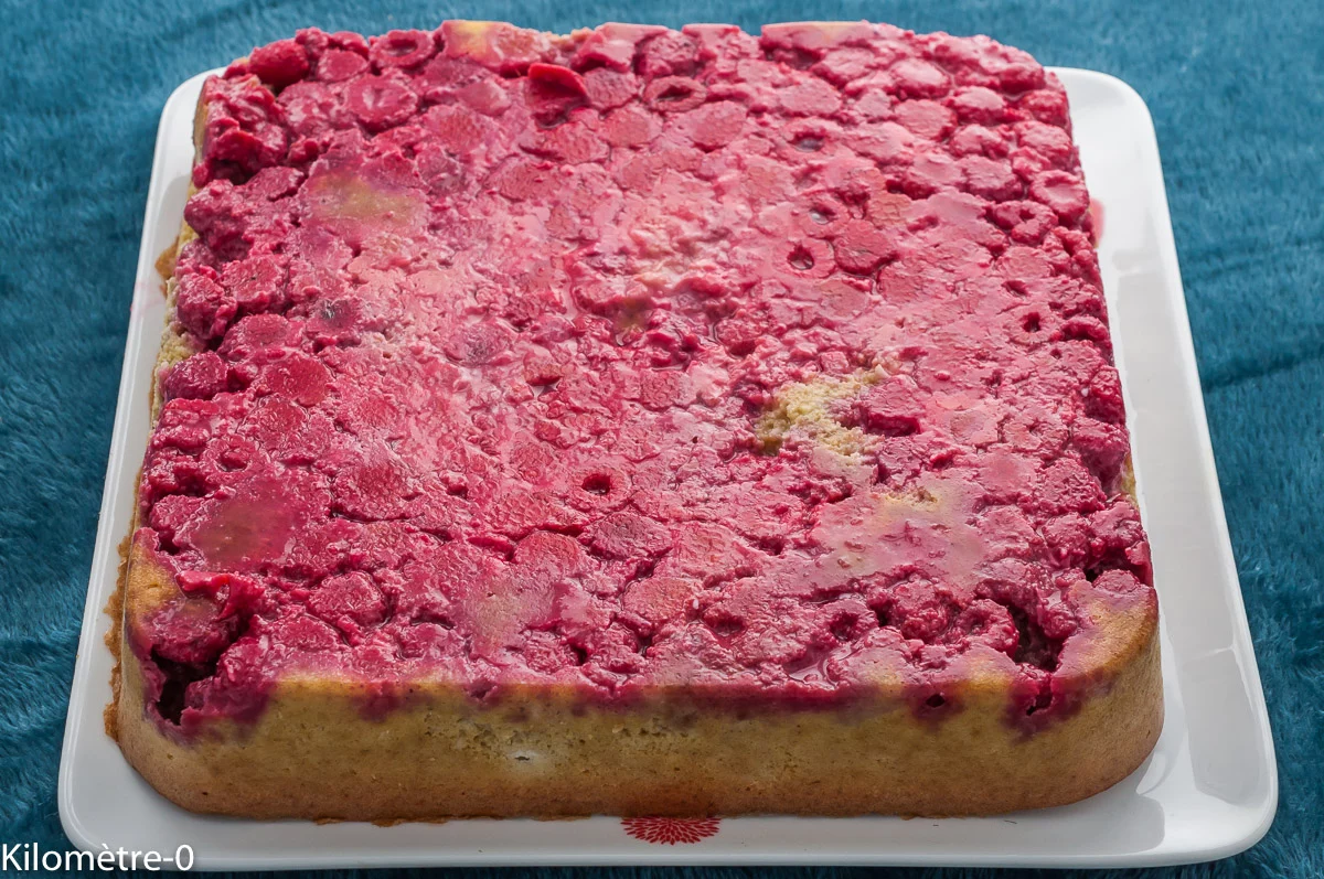 Photo de recette de dessert, gâteau, lait de coco, noix de coco, fruits rouges, fruits, framboises, bio, sans gluten, facile, rapide, Kilomètre-0, blog de cuisine réalisée à partir de produits de saison et issus de circuits courts