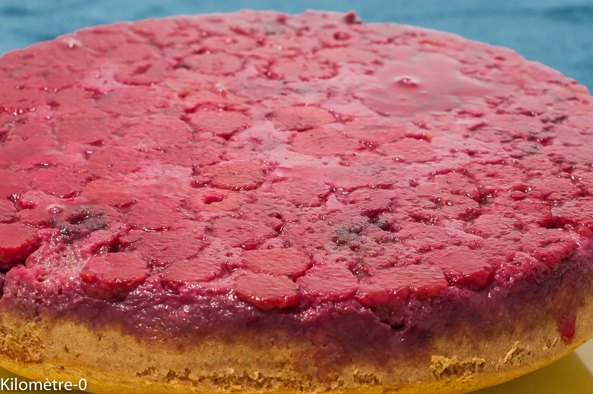 Photo de recette de gâteau, cake, dessert, fruits, fruits rouges, moelleux, framboises, bio, petit épeautre, Kilomètre-0, blog de cuisine réalisée à partir de produits de saison et issus de circuits courts