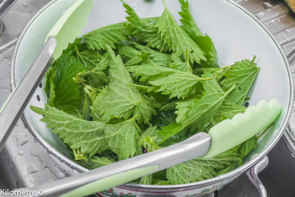 Oeufs cocotte aux orties et au chorizo - Étape 1