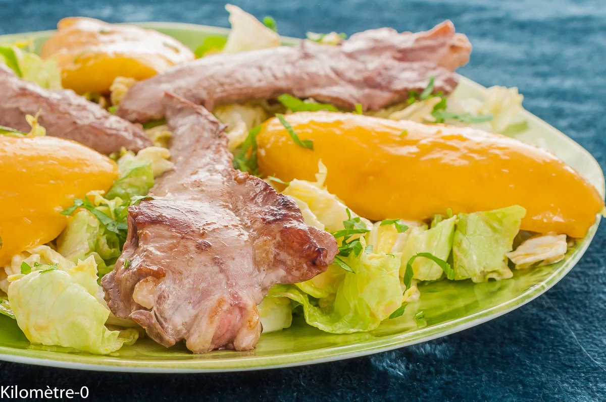 Photo de recette de canard, salade, aiguillettes de canard, magret, filet, canard, fruit, mangue, salade verte, facile, rapide, healthy, légère, Kilomètre-0, blog de cuisine réalisée à partir de produits de saison et issus de circuits courts