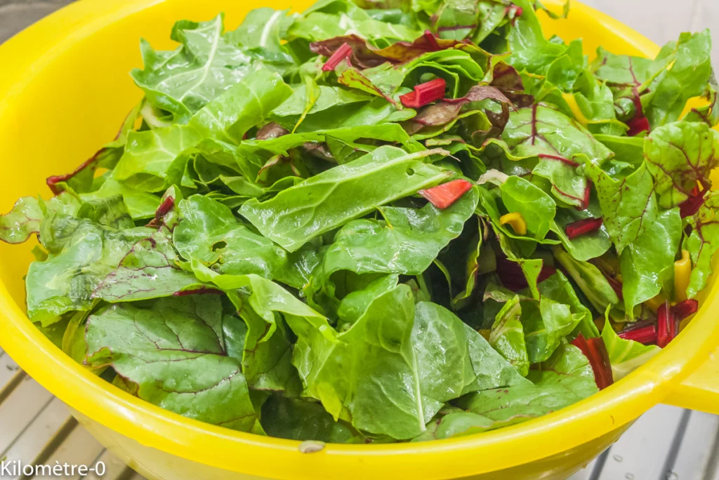 Blettes à la béchamel et aux œufs durs - Étape 2