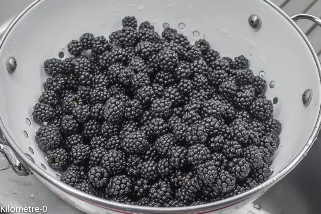 Gâteau fromager aux mûres - Étape 1