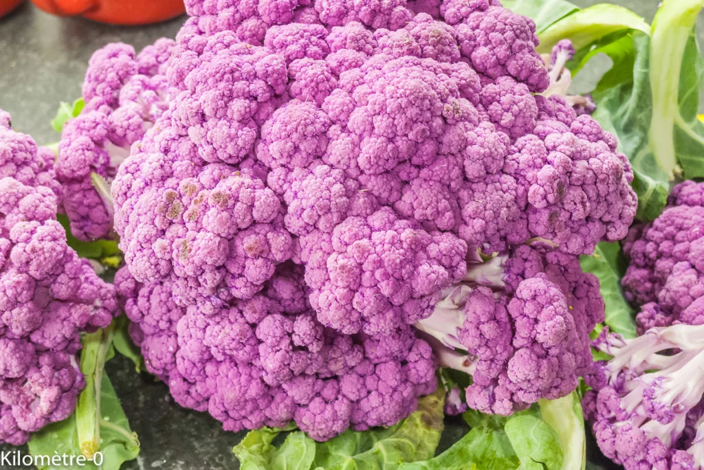 Pâtes aux chou fleur violet, œuf dur et emmental - Étape 1