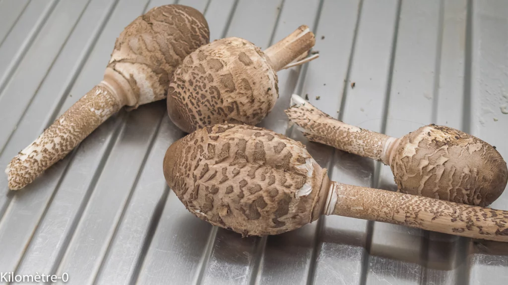 Pâtes au chorizo et champignons (coulemelles) - Étape 1