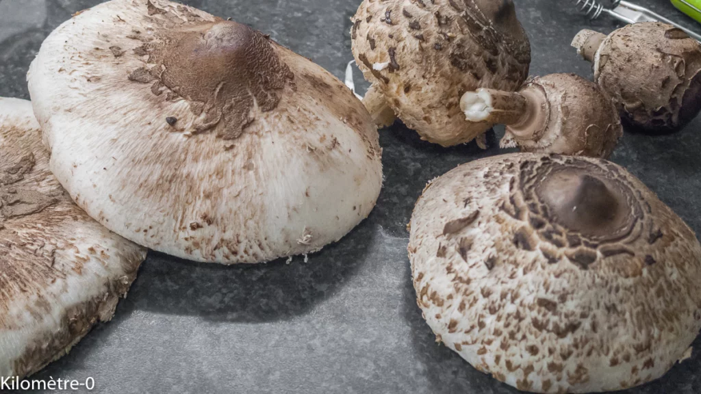 Pain perdu salé aux champignons (coulemelles) - Étape 1