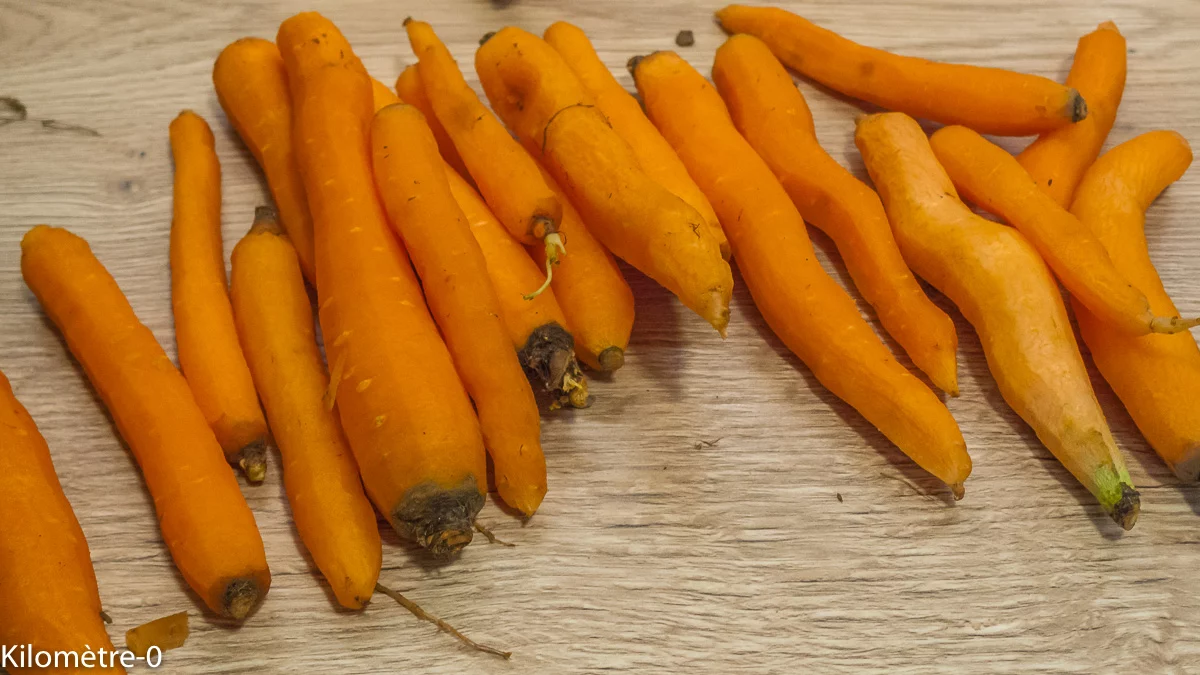 Photo de recette de Kilomètre-0, blog de cuisine réalisée à partir de produits de saison et issus de circuits courts
