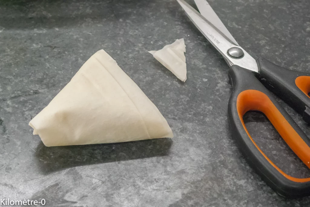 Briks aux épinards, poireaux et fromage (chèvre et emmental) - Étape 8