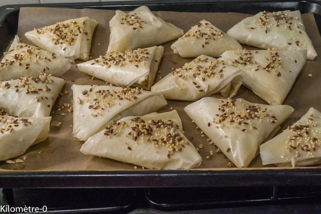 Briks aux épinards, poireaux et fromage (chèvre et emmental) - Étape 9