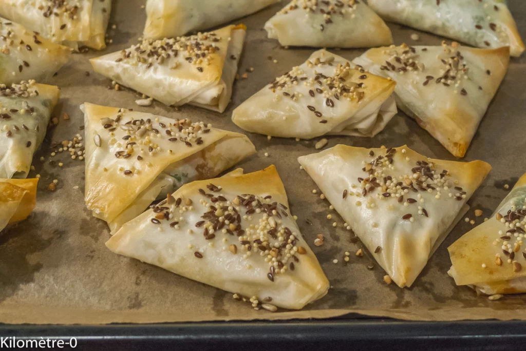 Briks aux épinards, poireaux et fromage (chèvre et emmental) - Étape 10