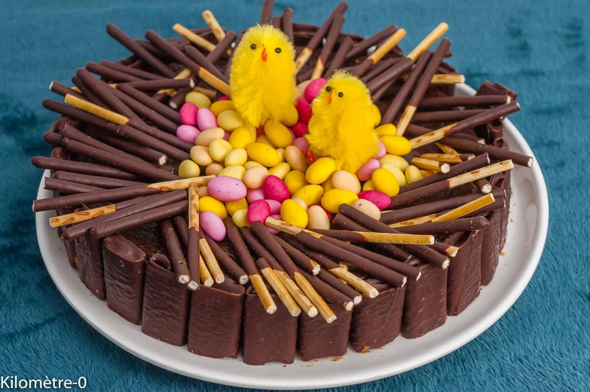 Photo de recette de dessert, gâteau, fondant, coulant, chocolat, nid de Pâques, mikado, cocos de Pâques, facile, rapide, Kilomètre-0, blog de cuisine réalisée à partir de produits de saison et issus de circuits courts