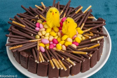 Photo de recette de dessert, gâteau, fondant, coulant, chocolat, nid de Pâques, mikado, cocos de Pâques, facile, rapide, Kilomètre-0, blog de cuisine réalisée à partir de produits de saison et issus de circuits courts