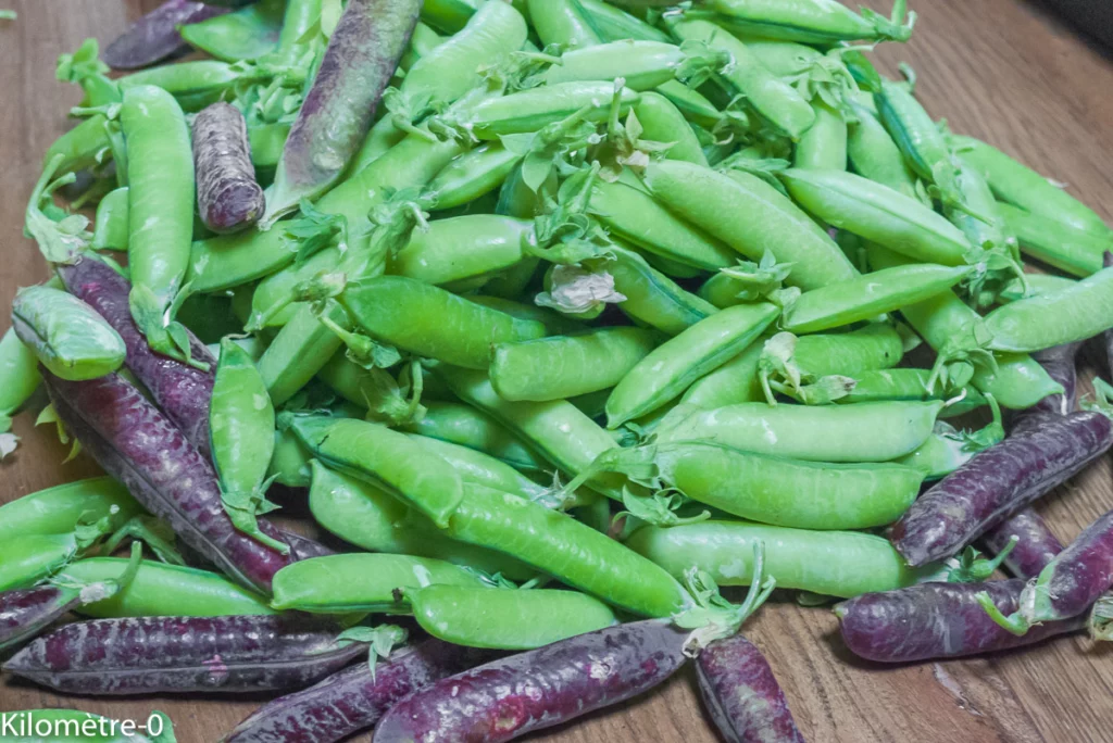 Merlu aux légumes de printemps (recette légère) - Étape 1