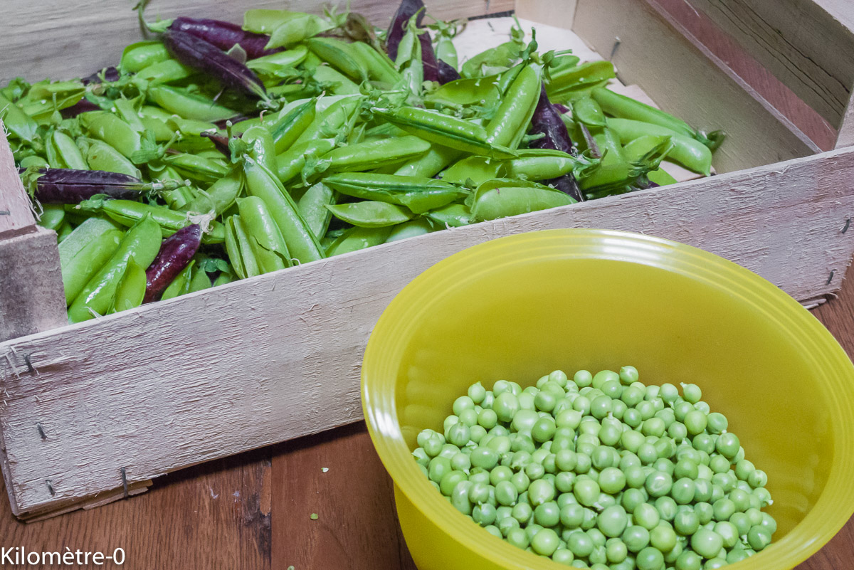 Photo de recette de petits pois, frais, jardin, bio, printemps, cuire des petits pois, cuisson des petits pois, frais, surgelés, Kilomètre-0, blog de cuisine réalisée à partir de produits de saison et issus de circuits courts